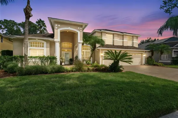17323 EMERALD CHASE DR, Tampa, FL 33647