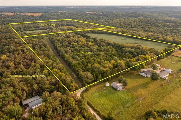 00 Abbott RD, Bellflower, MO 63333