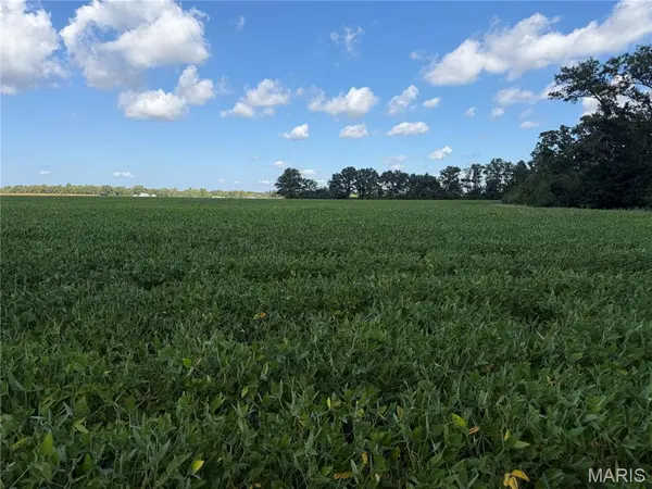 000 Oak Grove, Alma, IL 62807