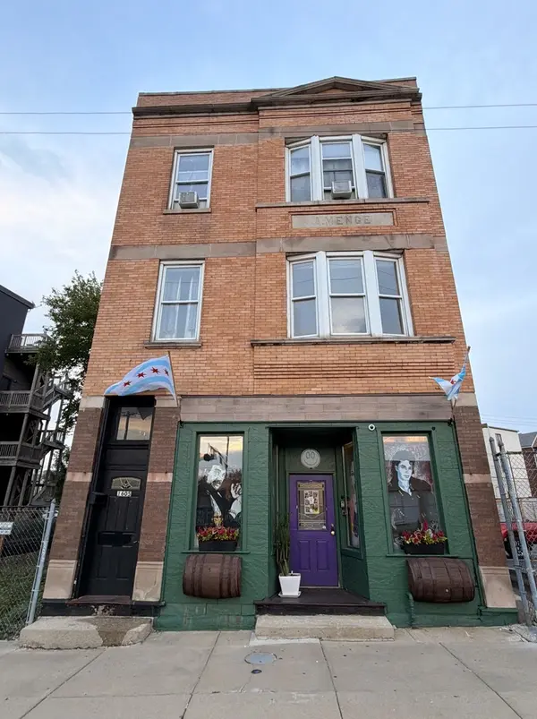 1605 S Blue Island AVE #3, Chicago, IL 60608