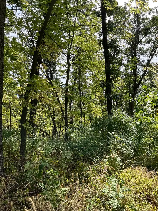 TBD Twin Bluff Lane S, Stockholm, WI 54769
