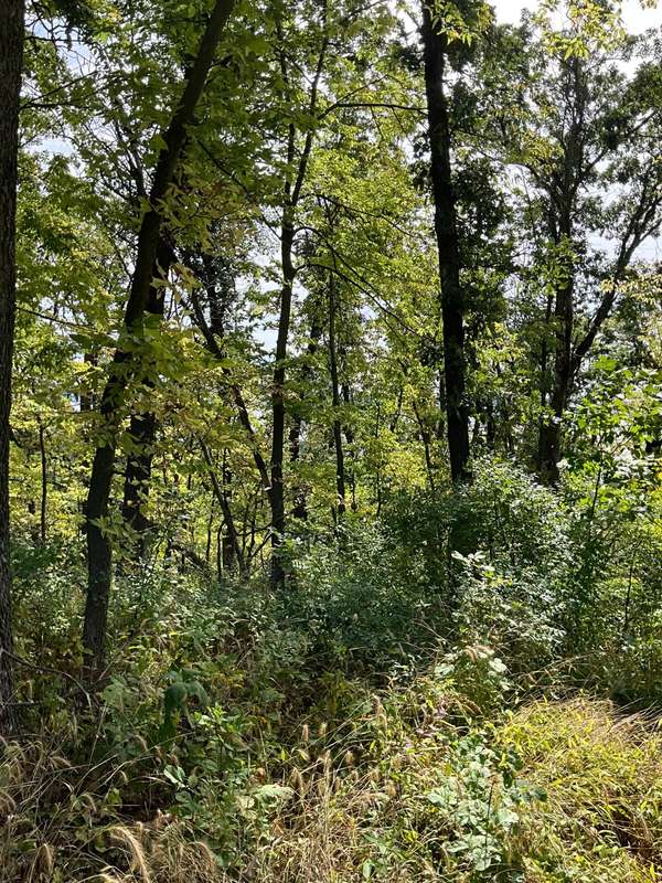 TBD Twin Bluff Lane S, Stockholm, WI 54769