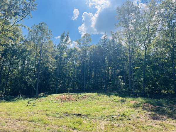 0 Excalibur Trail, Cedar Grove, TN 38321