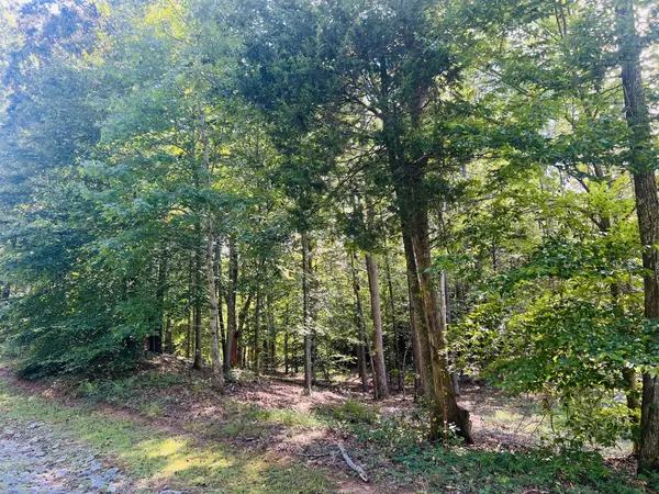 0 Excalibur Trail, Cedar Grove, TN 38321