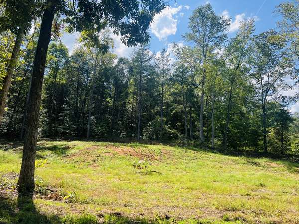 0 Excalibur Trail, Cedar Grove, TN 38321