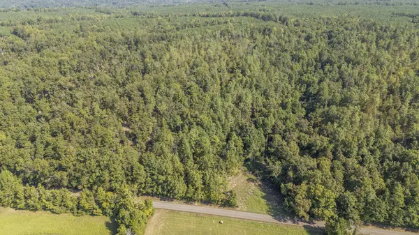 4125 CHERRY CHAPEL LOOP, Savannah, TN 38372