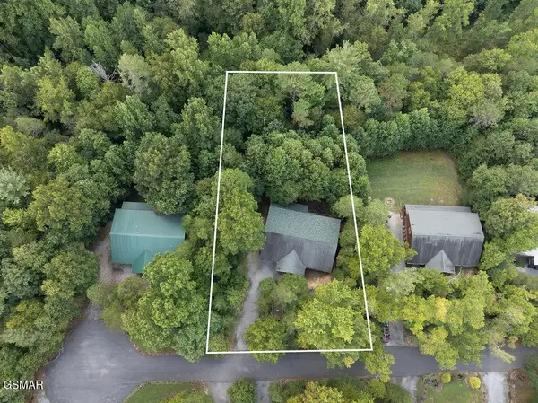 223 Amet Way #POOLSRUSHINN, Cosby, TN 37722