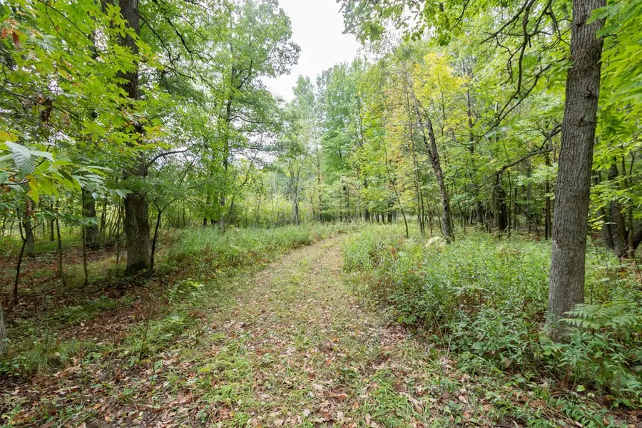 20 Acres 153rd AVE, Balsam Lake, WI 54810