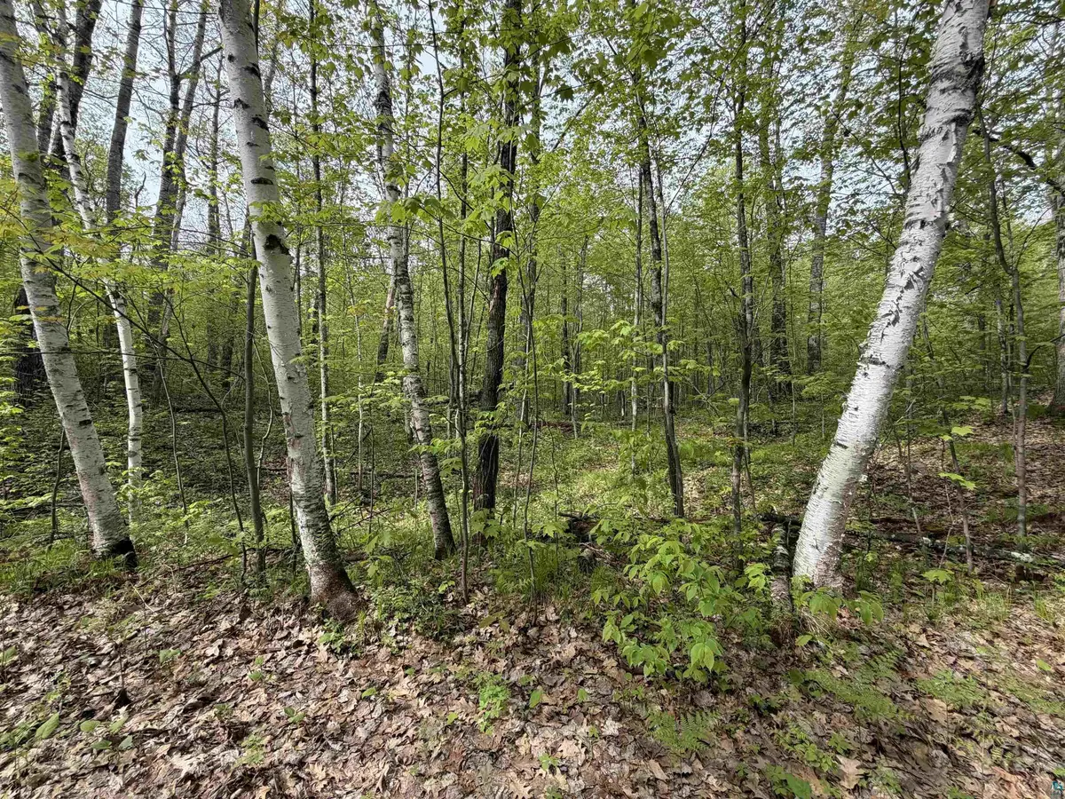 Lot 3 Peterson Rd, Wascott, WI 54859