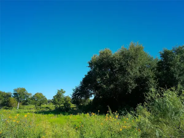 Lot 34 Serenity DR, Bertram, TX 78605