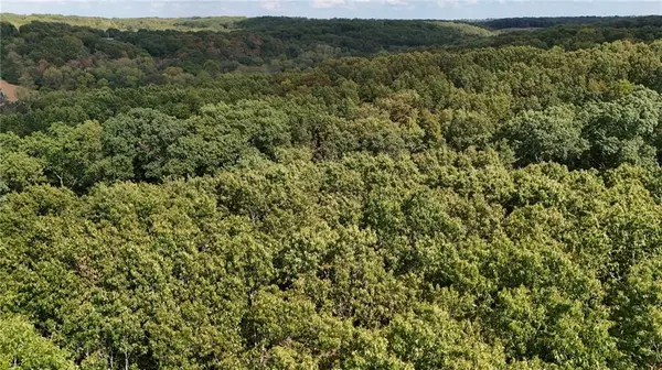 xx Aspen RD, Ozark, MO 65721
