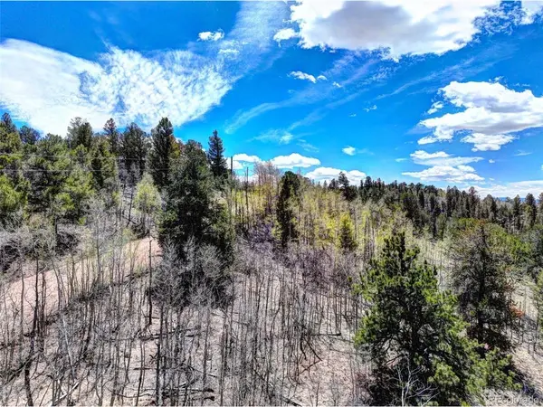 194 Bufflehead, Como, CO 80432