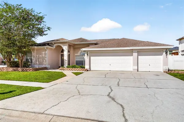 10007 VISTA POINTE DR, Tampa, FL 33635