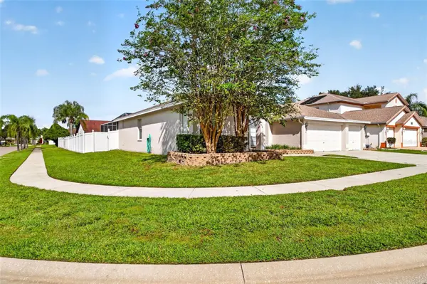 10007 VISTA POINTE DR, Tampa, FL 33635
