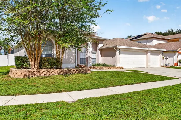 10007 VISTA POINTE DR, Tampa, FL 33635