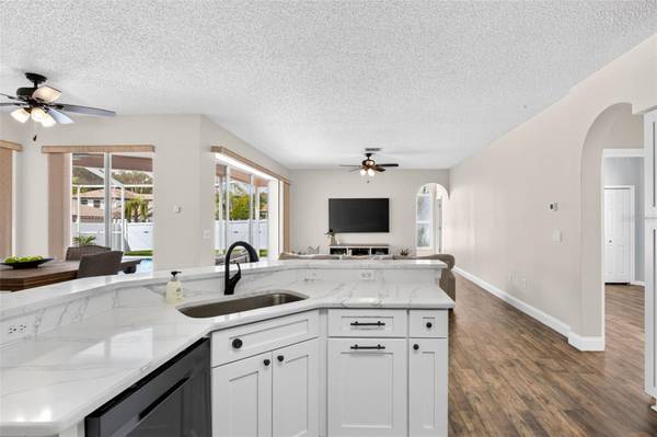 10007 VISTA POINTE DR, Tampa, FL, 33635 photo 23