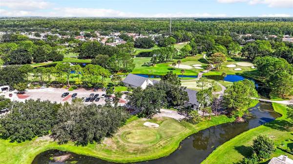10007 VISTA POINTE DR, Tampa, FL, 33635 photo 75