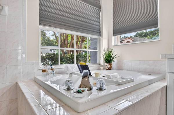 10007 VISTA POINTE DR, Tampa, FL, 33635 photo 42