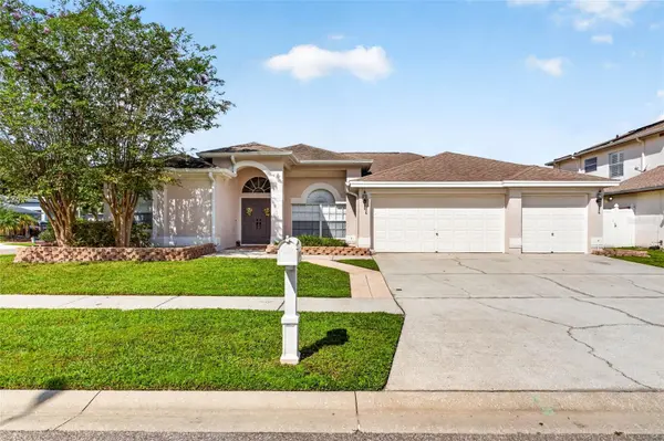 10007 VISTA POINTE DR, Tampa, FL 33635