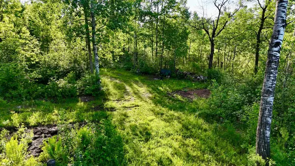 TBD Highway 65, Isle, MN 56342