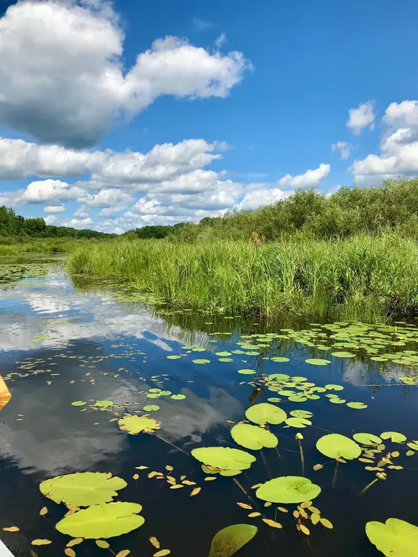 TBD Highway 65, Isle, MN 56342