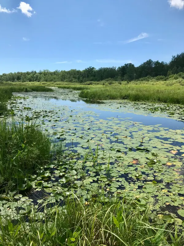TBD Highway 65, Isle, MN 56342