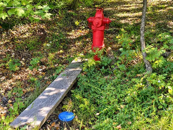Lot 1 & 2 Bluegill AVE N, Webster, WI 54893