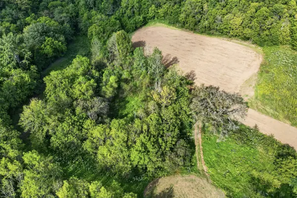 0 Jack Roberts Road, Gainesboro, TN 38562