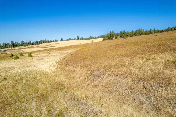 NKA Thunder Mountain Ln, Valleyford, WA 99036