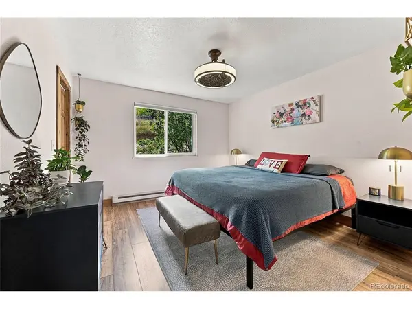 33165 Diana, Pine, CO 80470