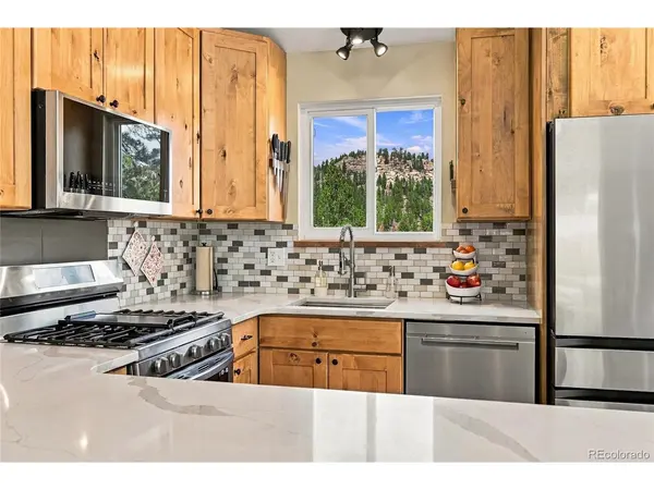 33165 Diana, Pine, CO 80470