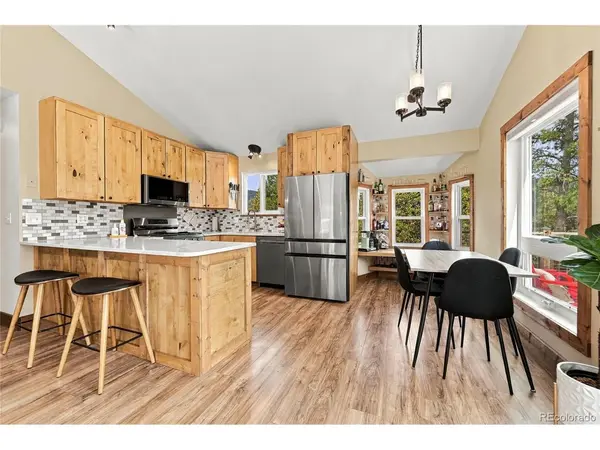 33165 Diana, Pine, CO 80470