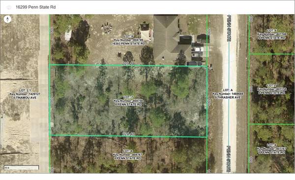 16299 PENN STATE RD, Weeki Wachee, FL 34614