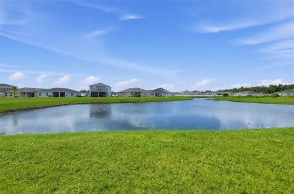 11728 FIRESPIKE ST, Riverview, FL 33578