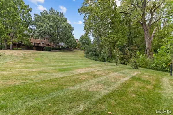13314 Tree Top View CT, St Louis, MO 63141