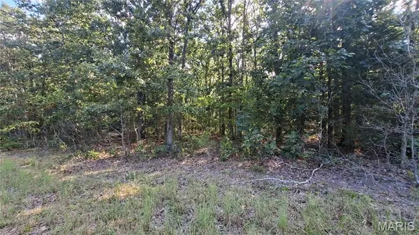00 Oak Ridge Dr, Bonne Terre, MO 63628