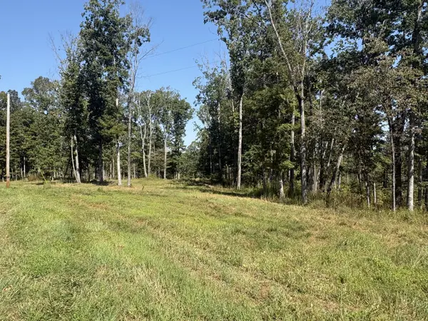 0 Shelton Cemetery Rd, Cumberland Furnace, TN 37051