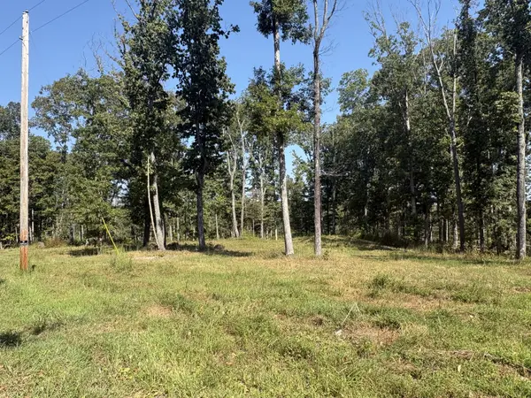 0 Shelton Cemetery Rd, Cumberland Furnace, TN 37051