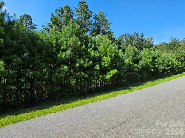 TBD Coveside DR #149, Granite Falls, NC 28630