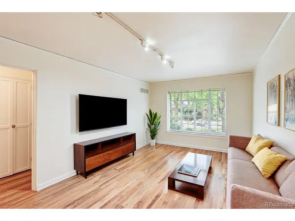 949 N Emerson #8, Denver, CO 80218