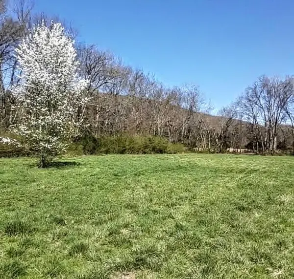 4880 Hills Creek RD, Mc Minnville, TN 37110
