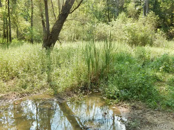 0 Joachim Creek, Herculaneum, MO 63070