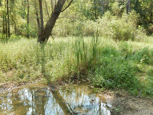 0 Joachim Creek, Herculaneum, MO 63070