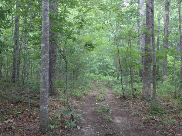 0 Preacher Spry Road, Bradyville, TN 37026