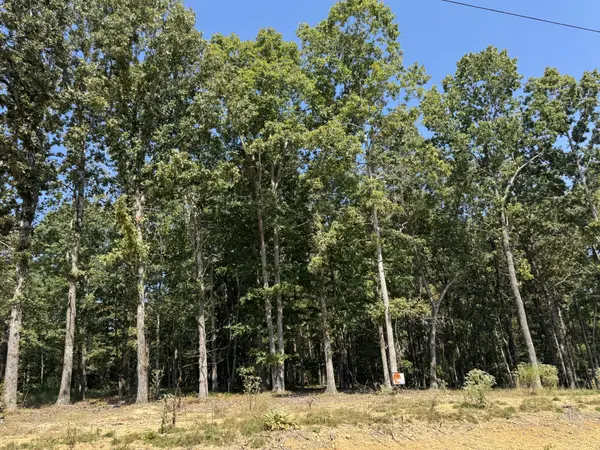 0 Longwood Court, Mc Ewen, TN 37101