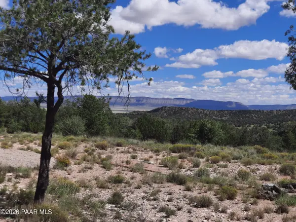 Lot 190 Off Hummingbird Lane, Seligman, AZ 86337