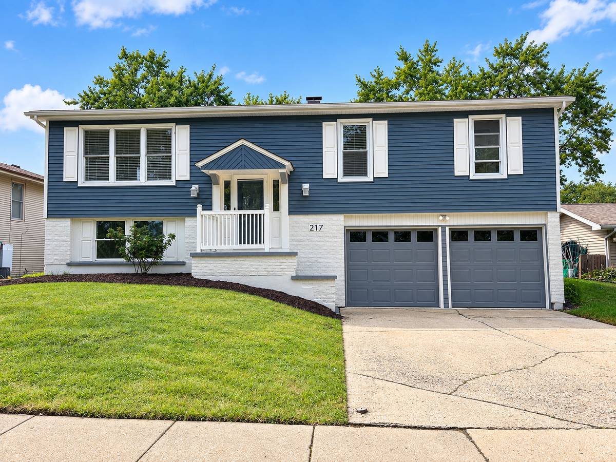 217 N Schmidt RD, Bolingbrook, IL 60440