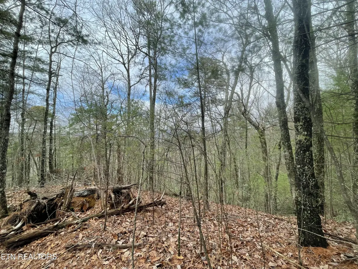 0 Walnut Flats Rd, Walland, TN 37886