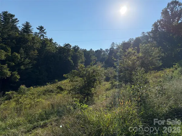 4401 Meadows Town RD, Marshall, NC 28753