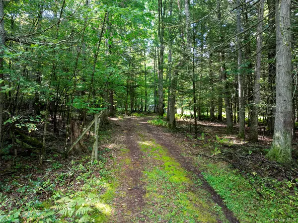 83 Perry Pond RD, Narrowsburg, NY 12764